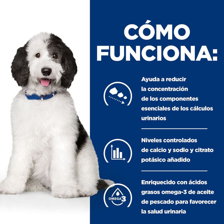 Hill's Prescription Diet Urinary Care c/d Pollo lata para perros, , large image number null